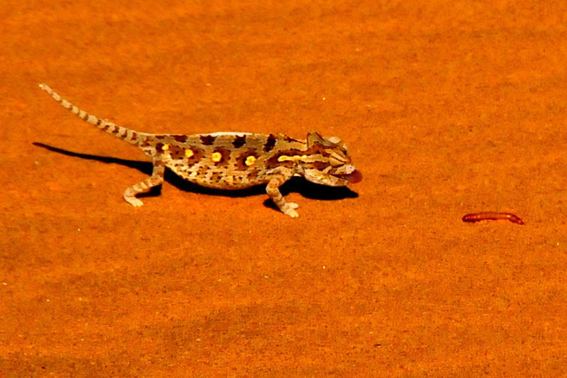 Namibia